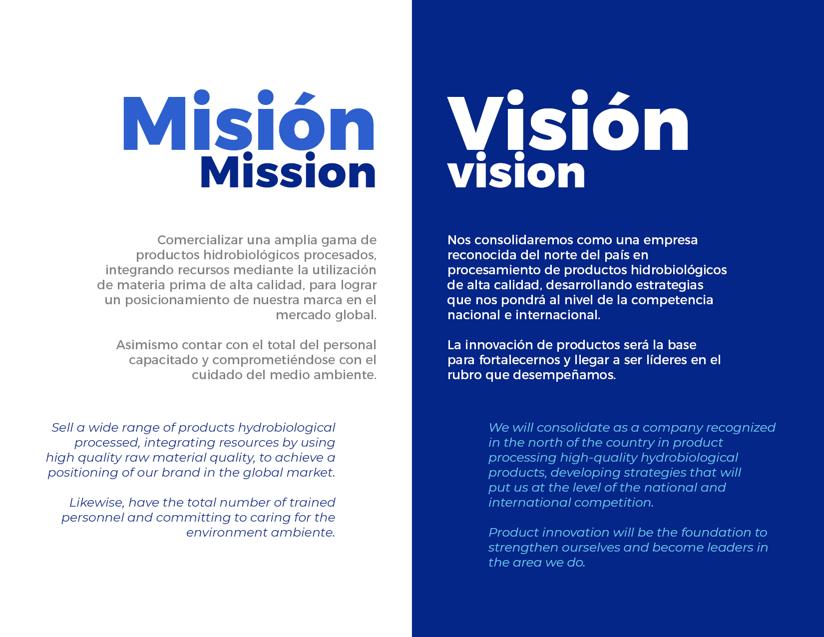 brochure 1